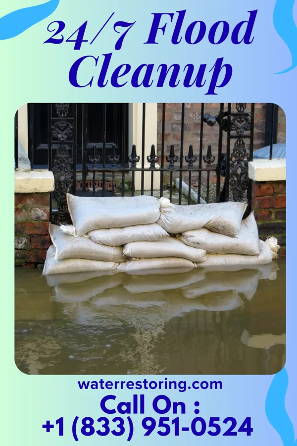 24/7 Flood Cleanup in Little Sturgeon, WI