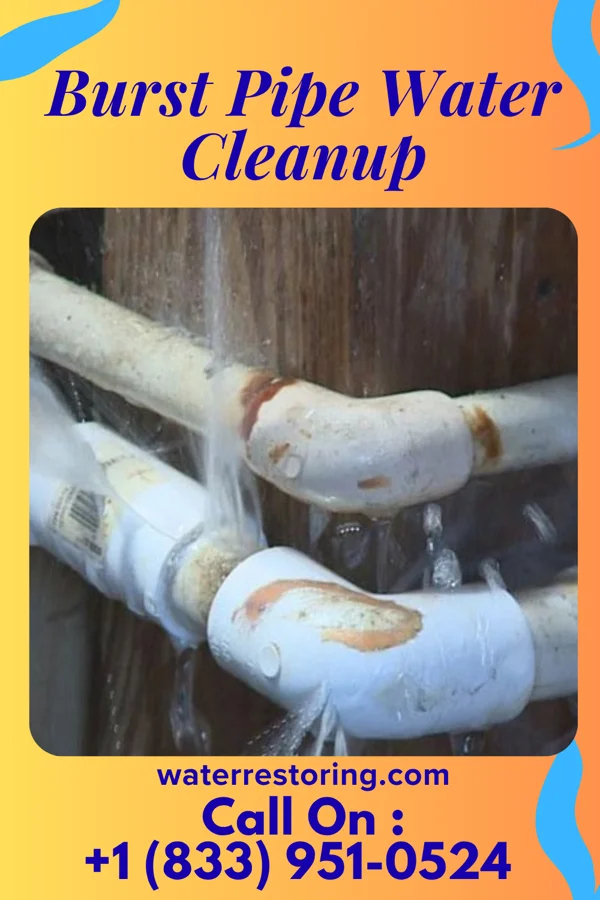 Burst Pipe Water Cleanup in Little Sturgeon, WI