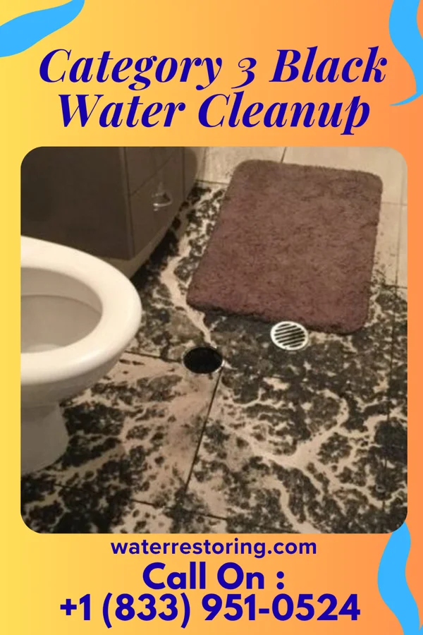 Category 3 Black Water Cleanup in Little Sturgeon, WI