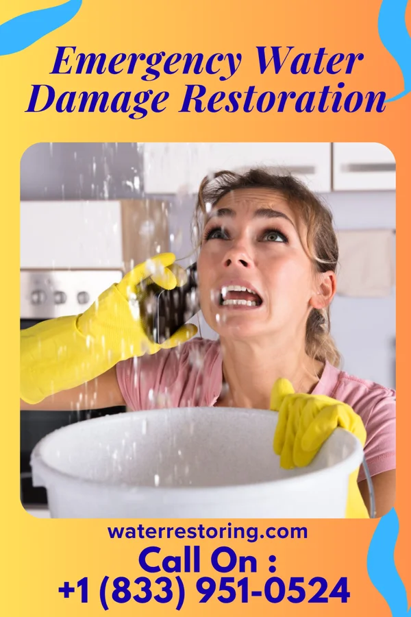 Emergency Water Damage Restoration in Little Sturgeon, WI