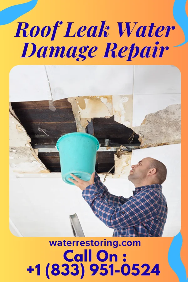 Roof Leak Water Damage Repair in Little Sturgeon, WI