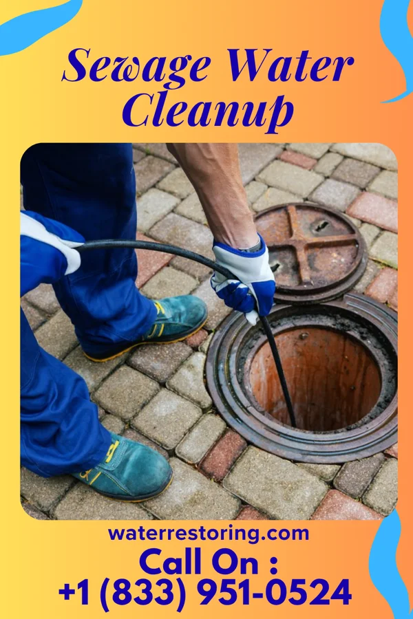 Sewage Water Cleanup in Little Sturgeon, WI
