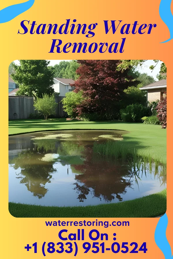 Standing Water Removal in Little Sturgeon, WI